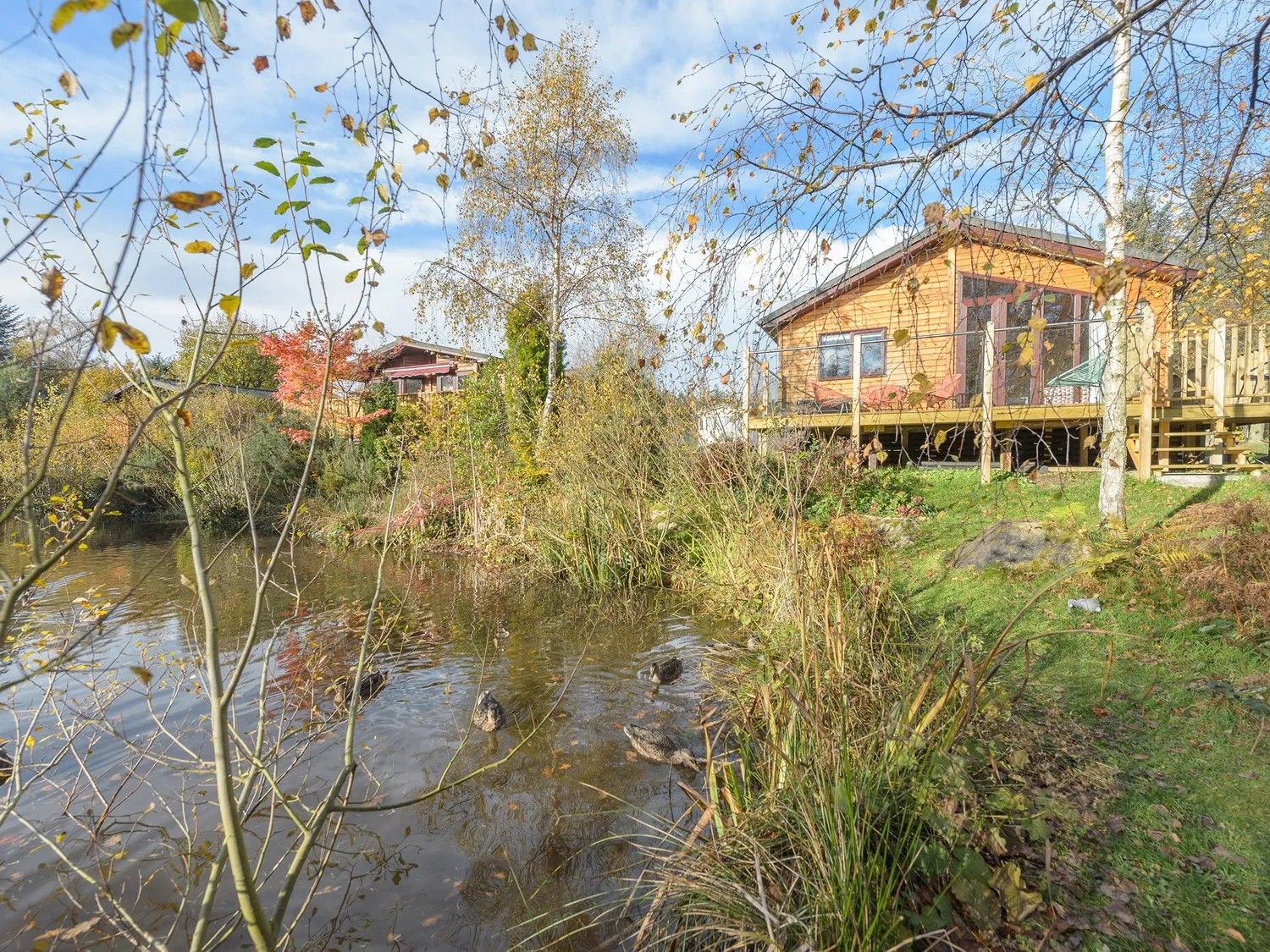Lakeside setting